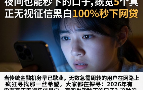 夜间也能秒下的口子，概览5个真正无视征信黑白100%秒下网贷