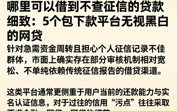 哪里可以借到不查征信的贷款，细致阐述5个包下款平台无视黑白的网贷