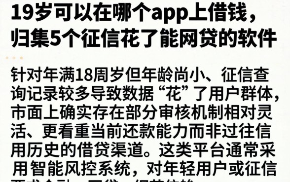 19岁可以在哪个app上借钱，归集5个征信花了能网贷的软件