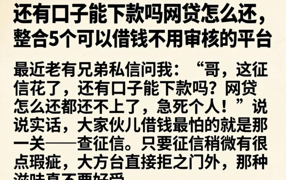 还有口子能下款吗网贷怎么还，整合5个可以借钱不用审核的平台
