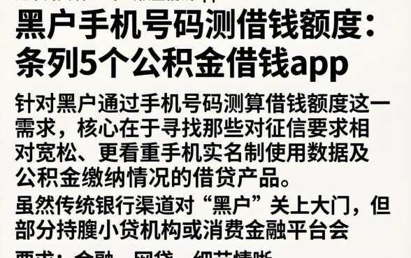 黑户手机号码测借钱额度，条列5个公积金借钱app