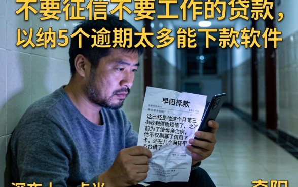 不要征信不要工作的贷款,归纳5个逾期太多能下款软件