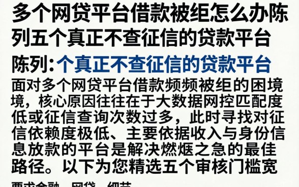 多个网贷平台借款被拒怎么办，陈列五个真正不查征信的贷款平台
