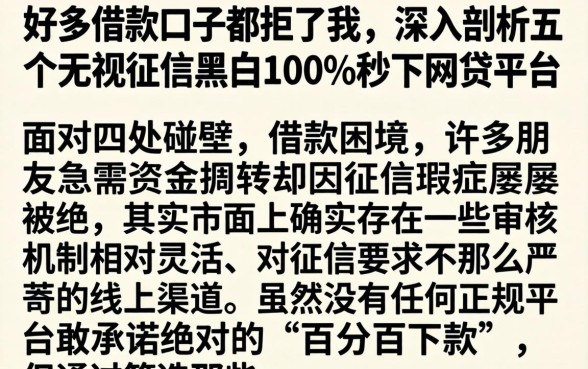 好多借款口子都拒了我，深入剖析五个无视征信黑白100%秒下网贷平台