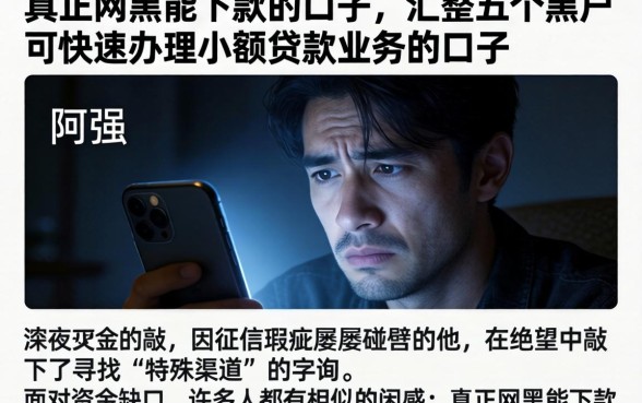 真正网黑能下款的口子，汇整五个黑户可快速办理小额贷款业务的口子