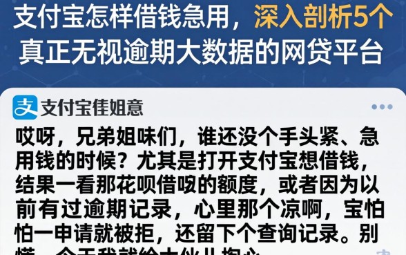 支付宝怎样借钱急用，深入剖析5个真正无视逾期大数据的网贷平台