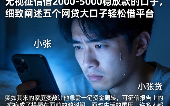 无视征信借2000-5000稳放款的口子，细致阐述五个网贷大口子轻松借平台