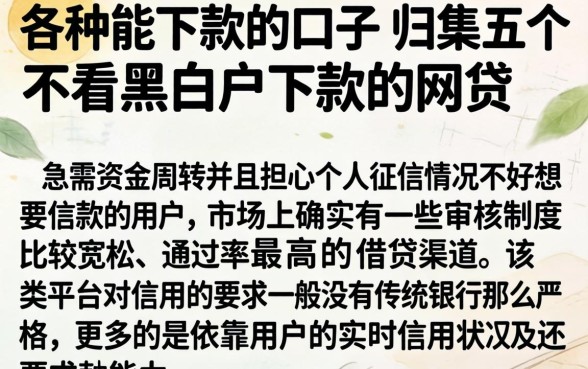 各种能下款的口子，归集五个不看黑白户下款的网贷