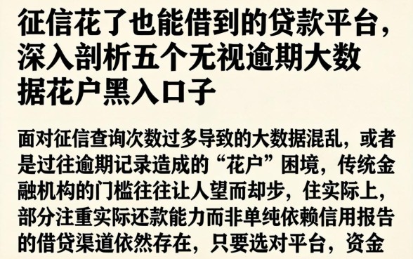 征信花了也能借到的贷款平台，深入剖析五个无视逾期大数据花户黑户口子