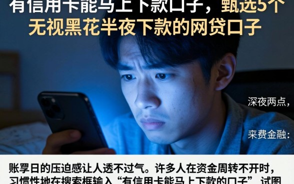 有信用卡能马上下款的口子，甄选5个无视黑花半夜下款的网贷口子