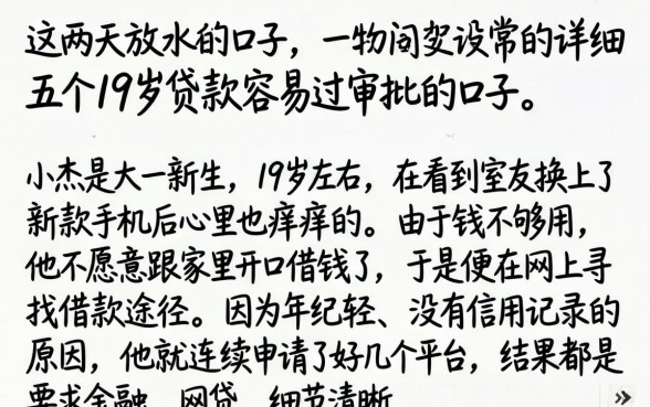 这两天放水的口子，详细阐述五个19岁贷款容易过审批的口子