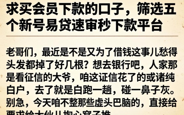 求买会员下款的口子，筛选五个新号易贷速审秒下款平台