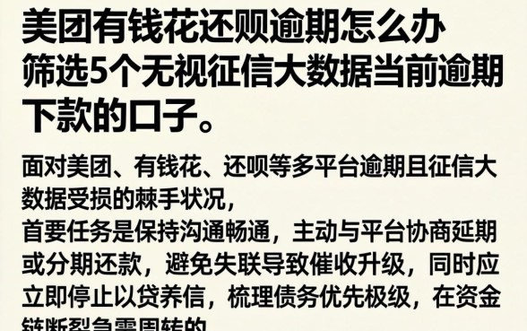 美团有钱花还呗逾期怎么办，筛选5个无视征信大数据当前逾期下款的口子