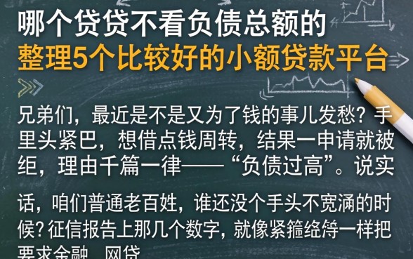 哪个借贷不看负债总额的，整理5个比较好的小额贷款平台