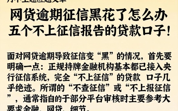 网货逾期征信黑花了怎么办，细致阐述五个不上征信报告的贷款口子