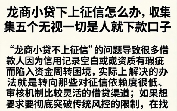 龙商小贷不上征信怎么办，归集五个无视一切是人就下款口子