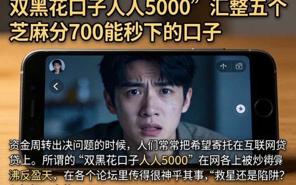 双黑花口子人人5000，汇整五个芝麻分700能秒下的口子