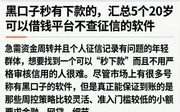 黑口子秒有下款的，汇总5个20岁可以借钱平台不查征信的软件