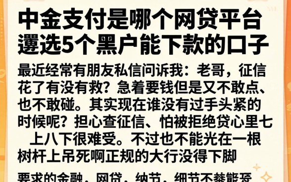 中金支付是哪个网贷平台，遴选5个黑户能下款的口子