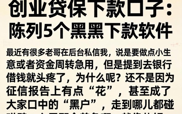 创业贷保下款的口子，陈列5个黑户下款软件