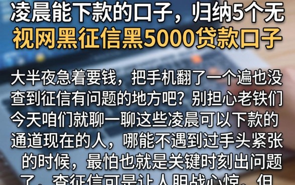 凌晨能下款的口子，归纳5个无视网黑征信黑5000贷款口子