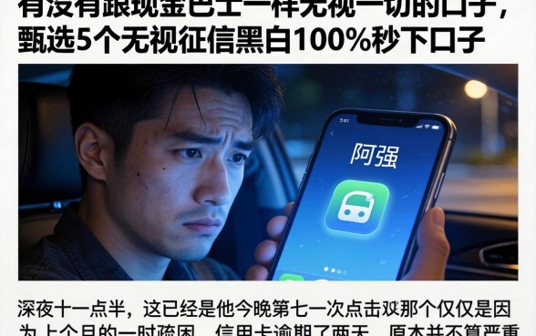 有没有跟现金巴士一样无视一切的口子，甄选5个无视征信黑白100%秒下口子