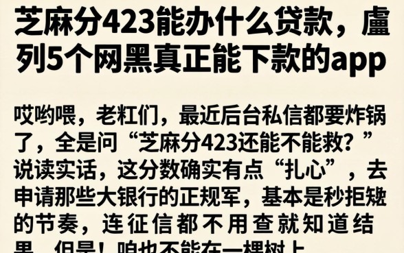 芝麻分423能办什么贷款，胪列5个网黑真正能下款的app