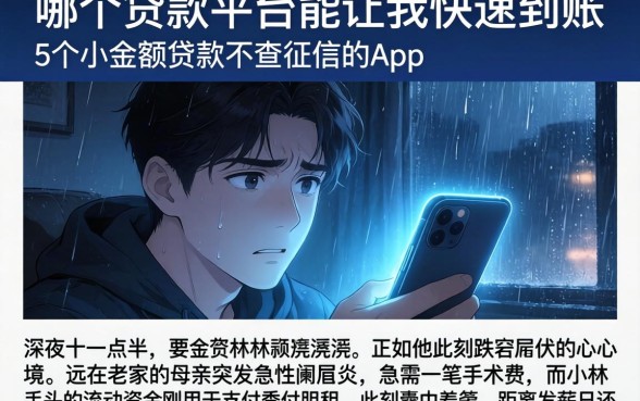 哪个贷款平台能让我快速到账，详细阐述5个小额贷款不查征信的app