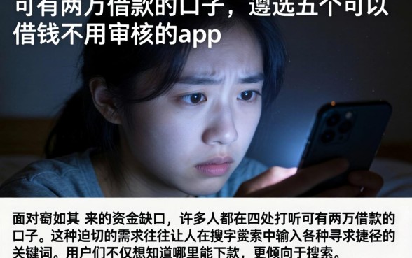 可有两万借款的口子，遴选五个可以借钱不用审核的app