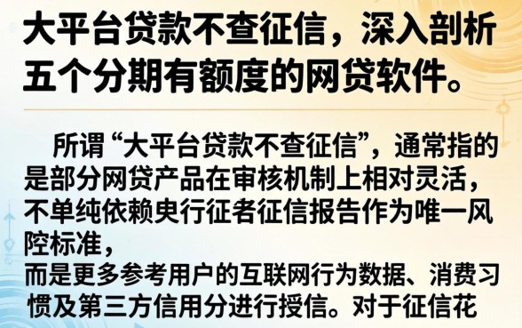 大平台贷款不查征信，深入剖析五个分期有额度的网贷软件