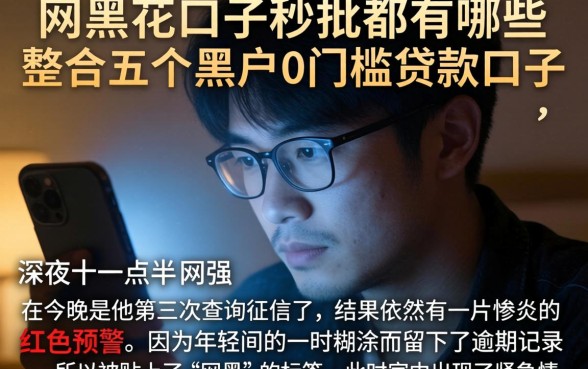 网黑花口子秒批都有哪些，整合五个黑户0门槛贷款口子