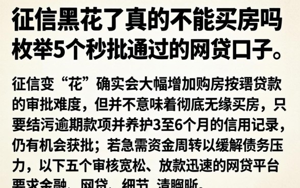征信黑花了真的不能买房吗，枚举5个秒批通过的网贷口子
