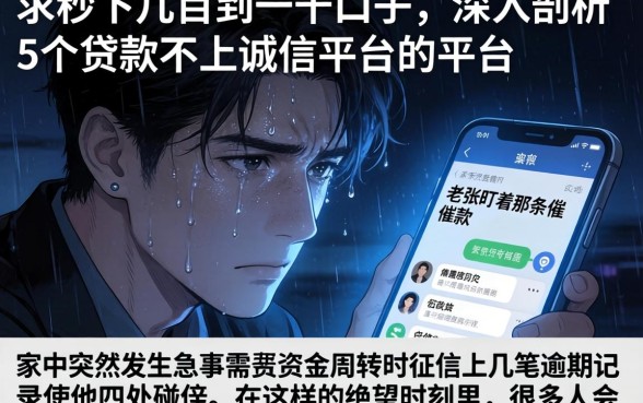 求秒下几百到一千的口子，深入剖析5个贷款不上诚信平台的平台