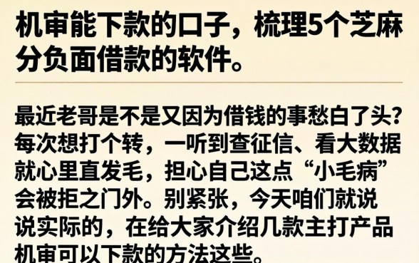 机审能下款的口子,梳理5个芝麻分负面借款的软件