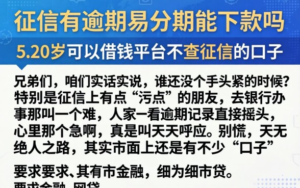 征信有逾期易分期能下款吗，陈列5个20岁可以借钱平台不查征信的口子