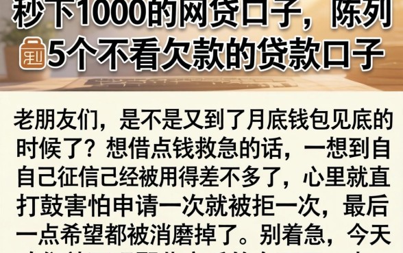 秒下1000的网贷口子,陈列5个不看欠款的贷款口子