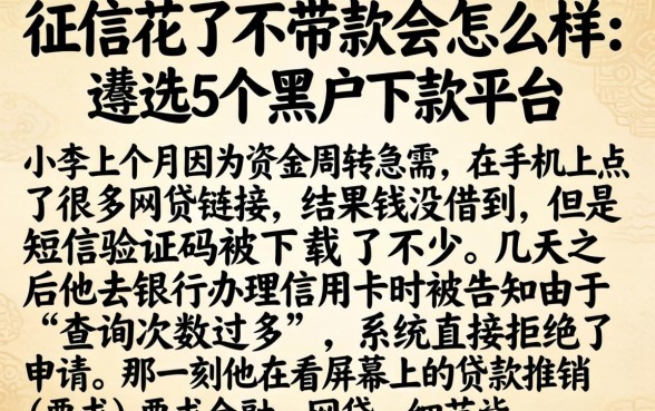 征信花了不带款会怎么样，遴选5个黑户下款平台