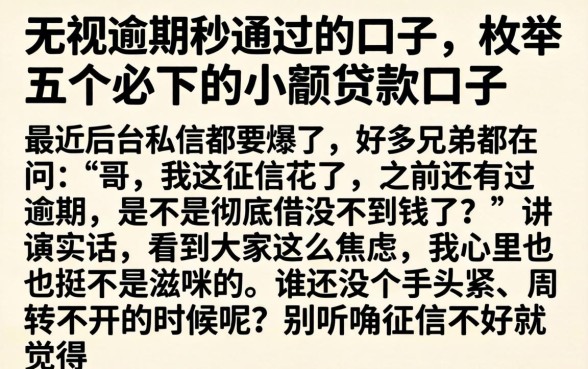 无视逾期秒通过的口子，枚举五个必下的小额贷款口子