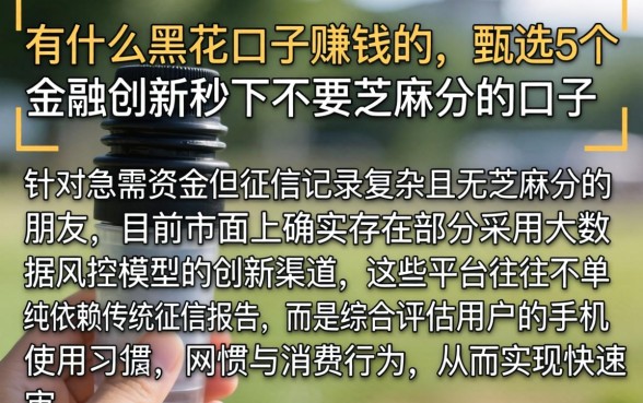 有什么黑花口子赚钱的，甄选5个金融创新秒下不要芝麻分的口子