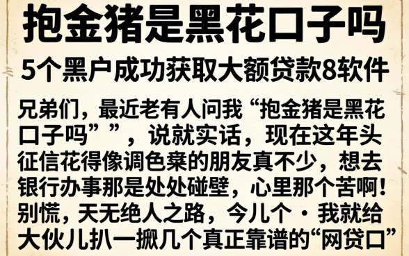 抱金猪是黑花口子吗，概括5个黑户成功获取大额贷款的软件