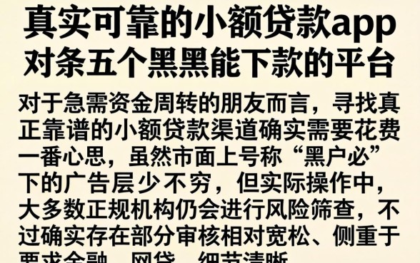真实可靠的小额贷款app，条列五个黑户能下款的平台