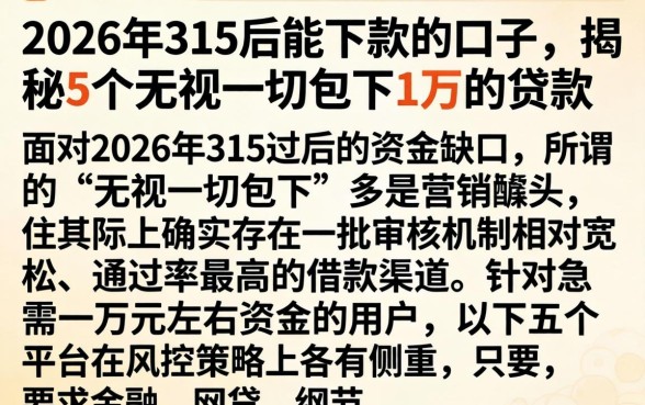 2026年315后能下款的口子，揭秘5个无视一切包下1万的贷款