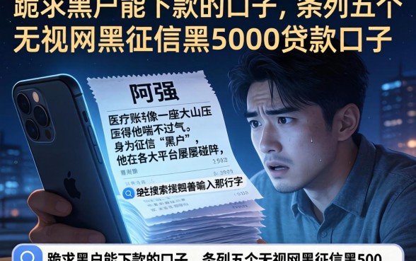 跪求黑户能下款的口子，条列五个无视网黑征信黑5000贷款口子