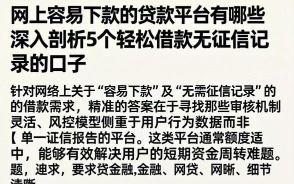 网上容易下款的贷款平台有哪些，深入剖析5个轻松借款无征信记录的口子