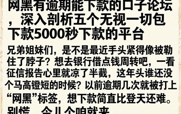 网黑有逾期能下款的口子论坛，深入剖析五个无视一切包下款5000秒下款的平台