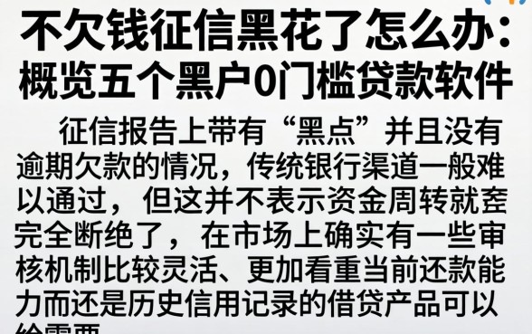 不欠钱征信黑花了怎么办，概览五个黑户0门槛贷款软件