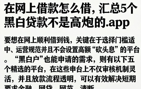 在网上借款怎么借，汇总5个黑白贷款不是高炮的app