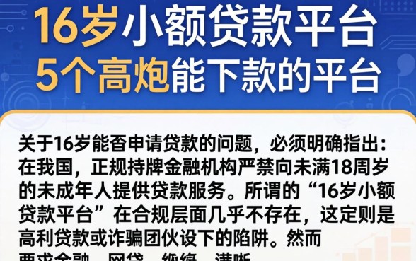 16岁小额贷款平台，详尽说明5个高炮能下款的平台