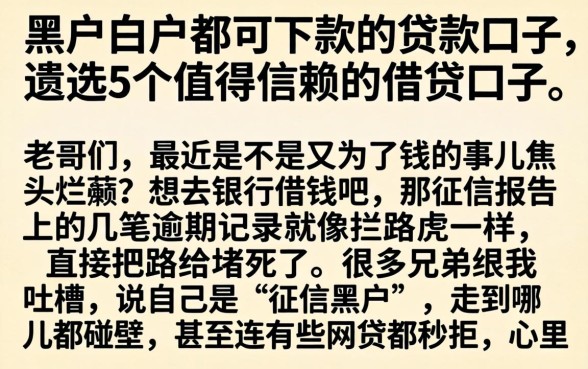 黑户白户都可下款的贷款口子，遴选5个值得信赖的借贷口子