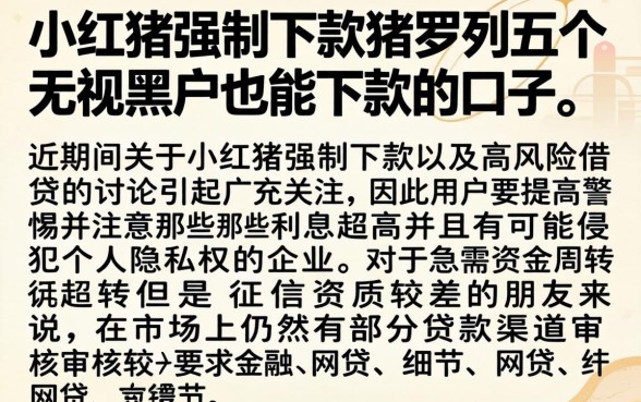 小红猪强制下款，罗列五个无视黑户也能下款的口子